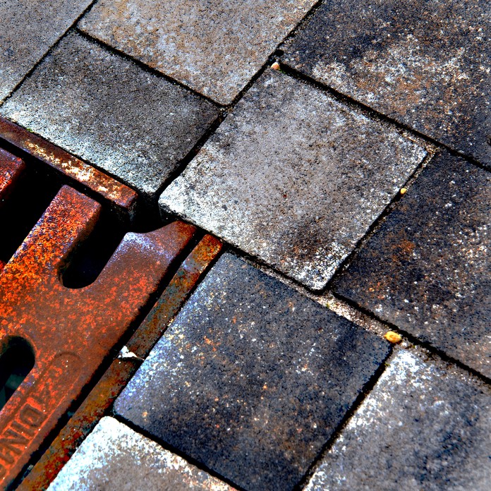 even a blind chicken will find 3 corns once in a while