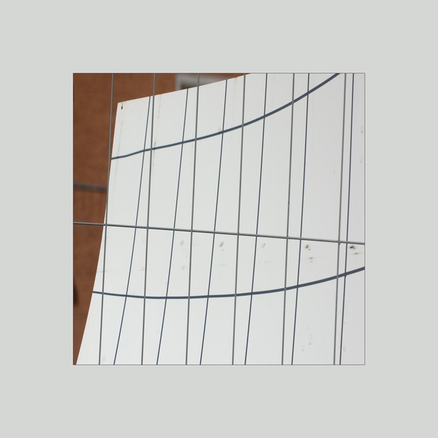 interview mit beinaheweiß3